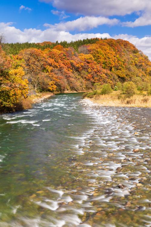 第8回　朝日スーパーライン写真コンテスト会長賞