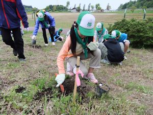朝日緑の少年団植樹活動